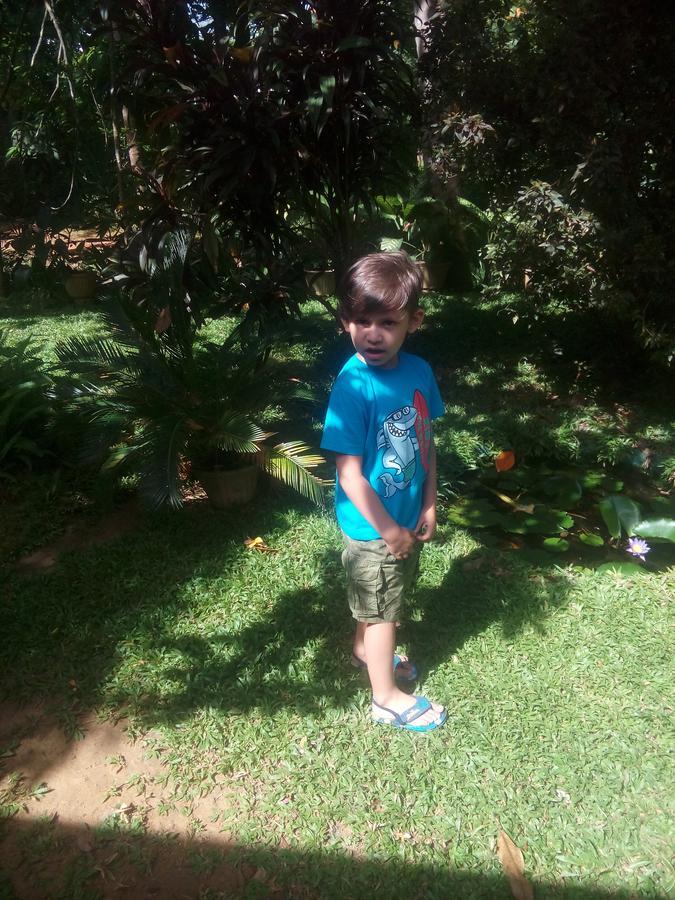 Dambulla Green Villa Kültér fotó