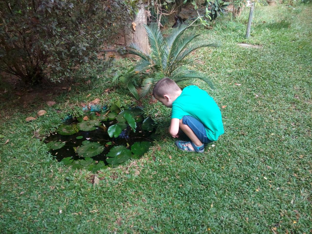 Dambulla Green Villa Kültér fotó